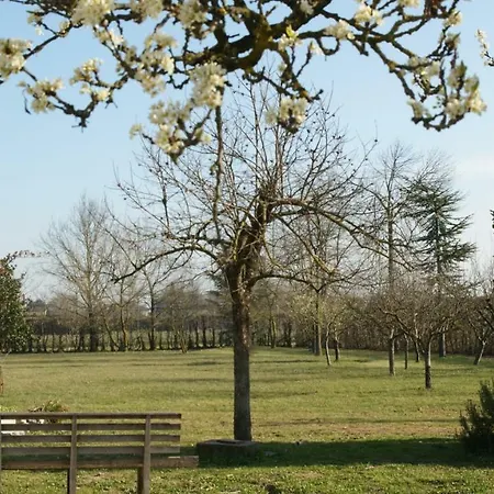 Holiday home Ca' Dei Noccioli *