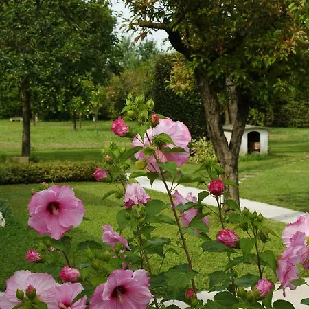 Ca' Dei Noccioli Holiday home