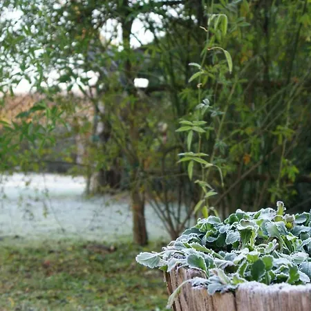 Ca' Dei Noccioli * Mirano