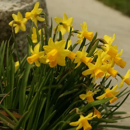 Holiday home Ca' Dei Noccioli