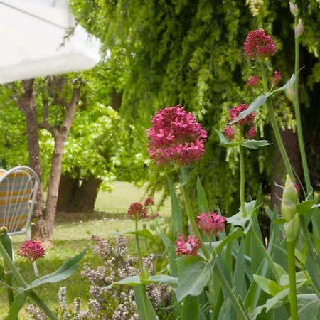 Ca' Dei Noccioli Holiday home Mirano